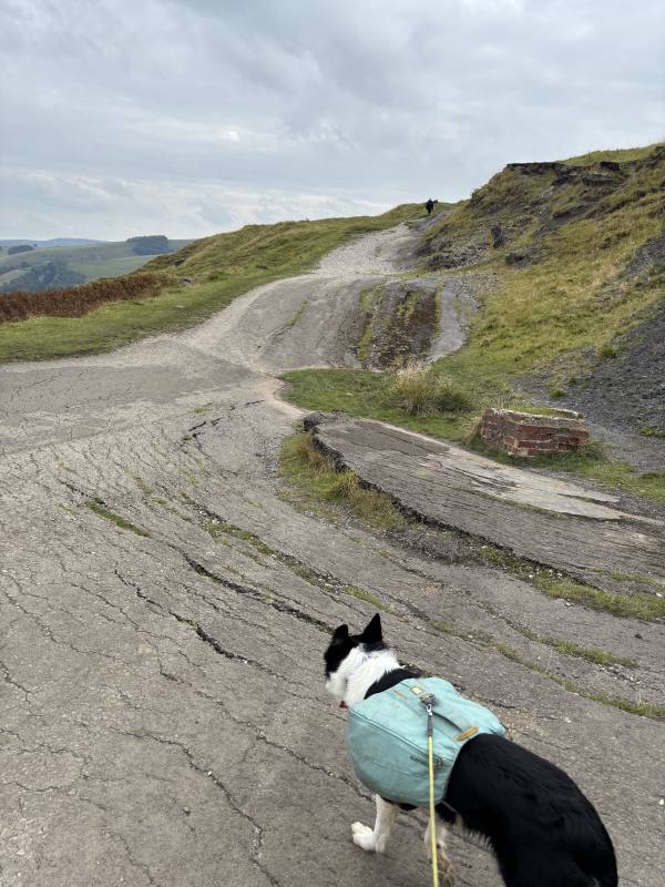 Brown Knoll and the Edale Skyline, 18.4km into the route