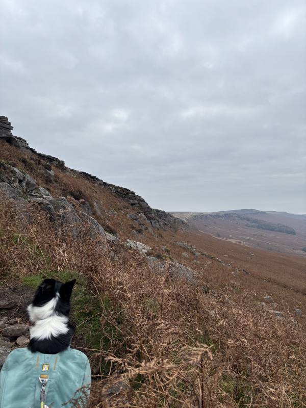 Stanage Edge and Wyming Brook, 1.2km into the route