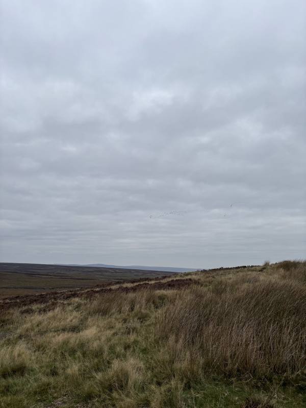 Stanage Edge and Wyming Brook, 2.5km into the route