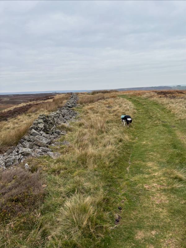 Stanage Edge and Wyming Brook, 2.9km into the route