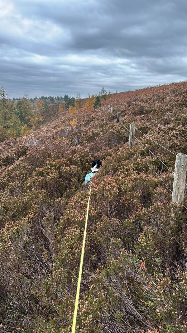 Stanage Edge and Wyming Brook, 10.8km into the route