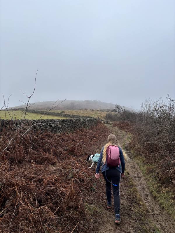 Walking High Peak, 9.2 miles, 1.4km into the route