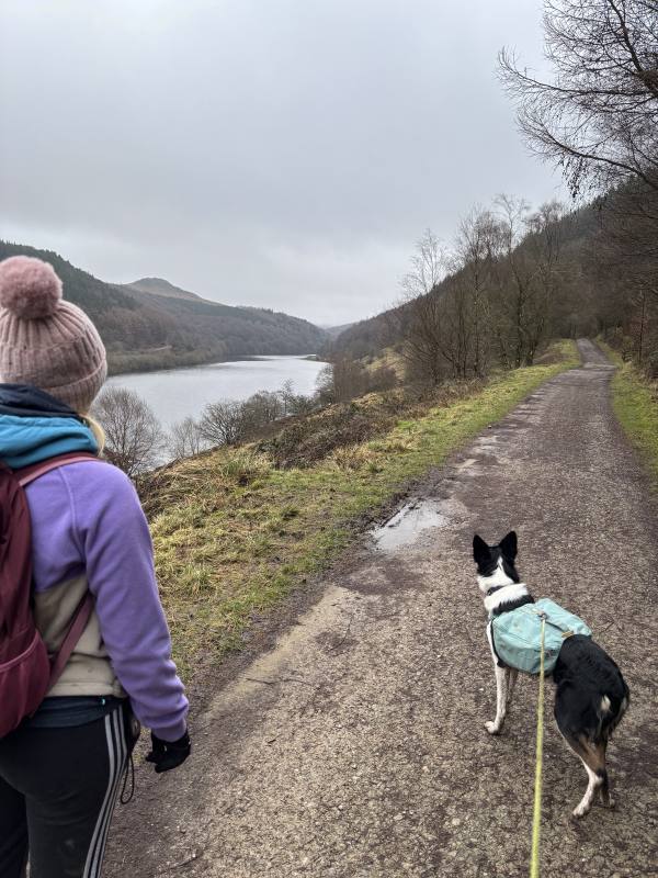 Walking High Peak, 9.2 miles, 8.5km into the route