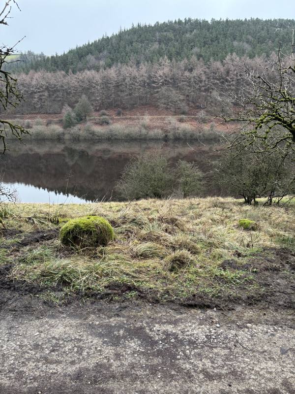 High Peak, 9.2 miles, 9.4km into the route