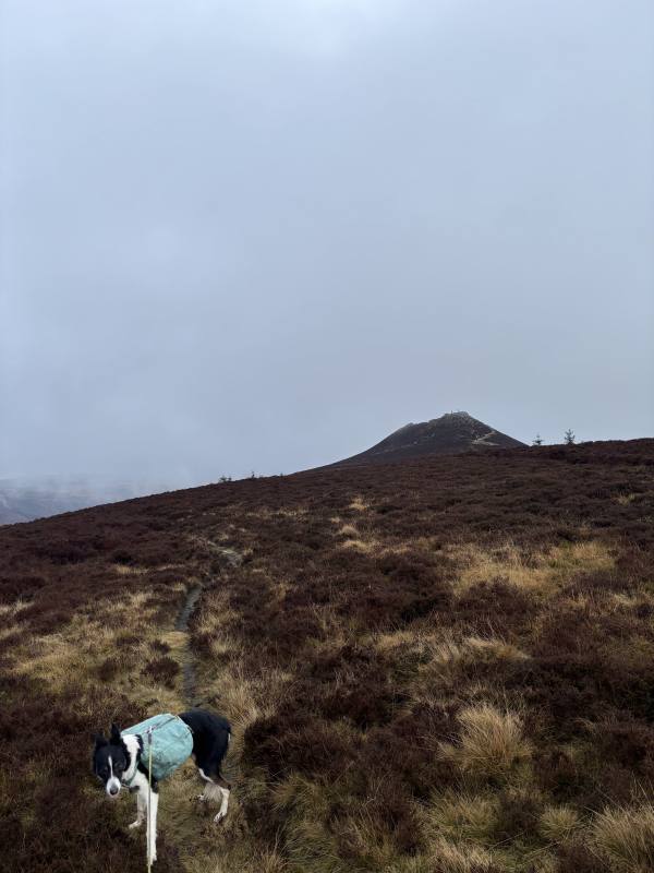 High Peak, 11.6 miles, 3.2km into the route