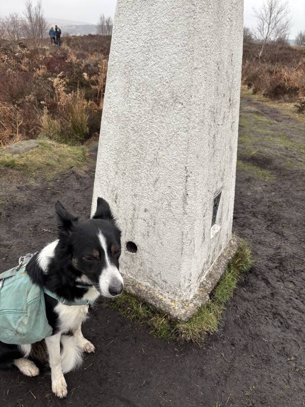 Ember on Baslow, 11.2 miles, 4.3km into the route