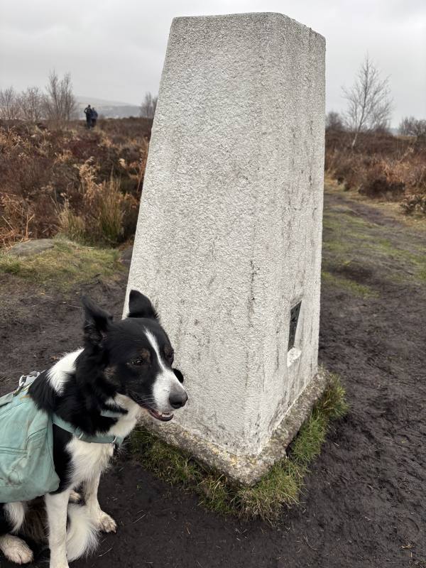Ember on Baslow, 11.2 miles, 4.3km into the route