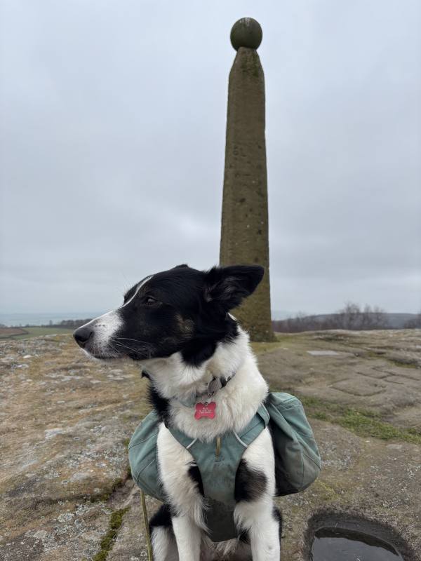 Ember on Baslow, 11.2 miles, 4.5km into the route
