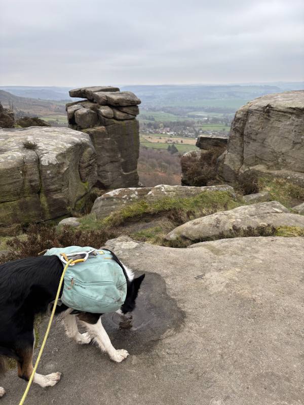 Ember on Baslow, 11.2 miles, 16.4km into the route