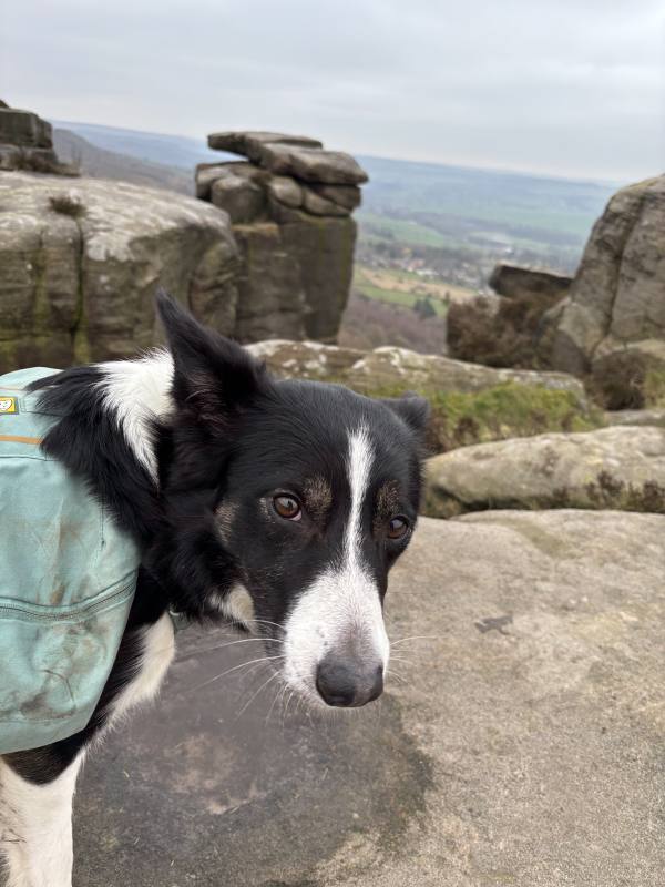 Ember on Baslow, 11.2 miles, 16.4km into the route