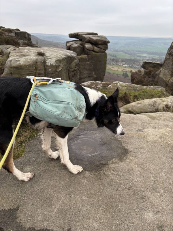 Ember on Baslow, 11.2 miles, 16.4km into the route