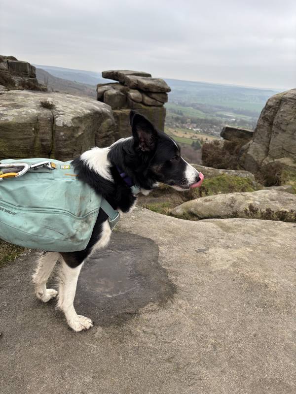 Ember on Baslow, 11.2 miles, 16.4km into the route