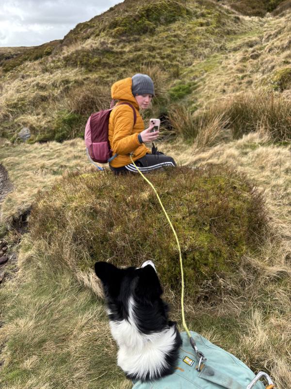 Walking High Peak, 5.8 miles, 2.7km into the route