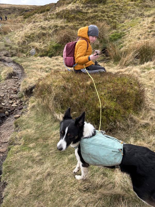 Walking High Peak, 5.8 miles, 2.7km into the route