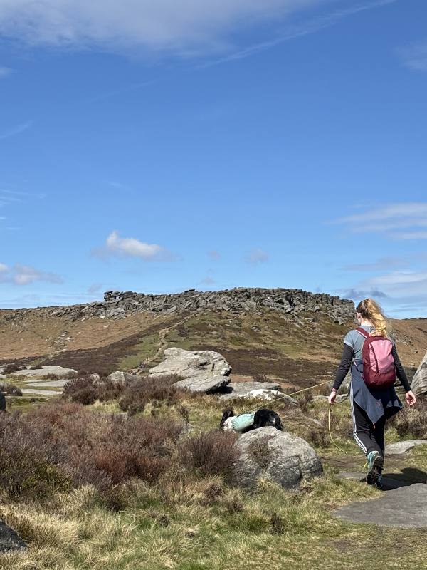 Walking Sheffield, 10.2 miles, 8.6km into the route