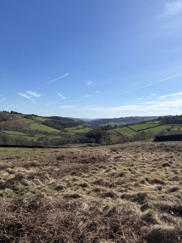 Sheffield, 10.2 miles, 16.0km into the route