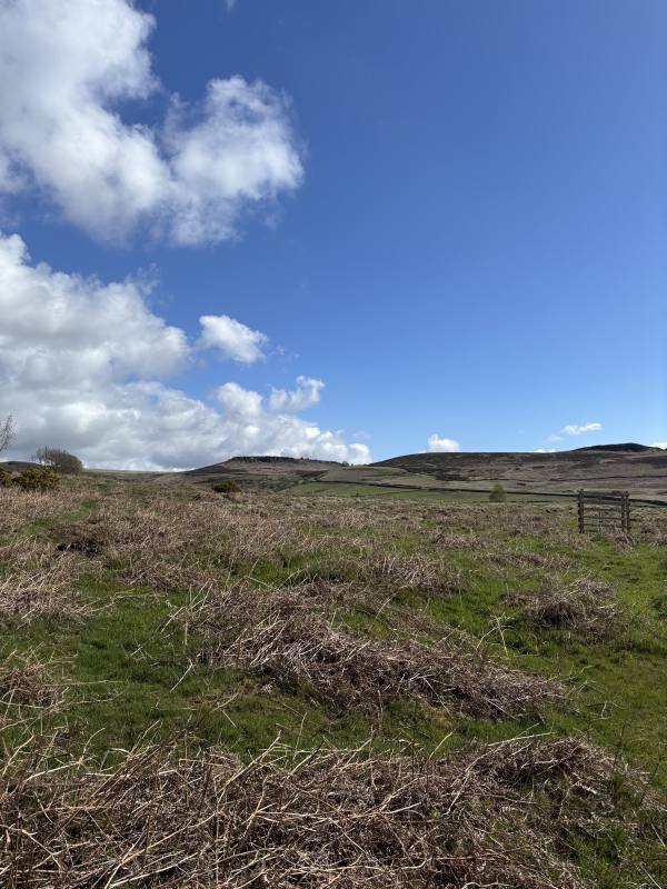 Calver Sough, 8 miles, 1.7km into the route