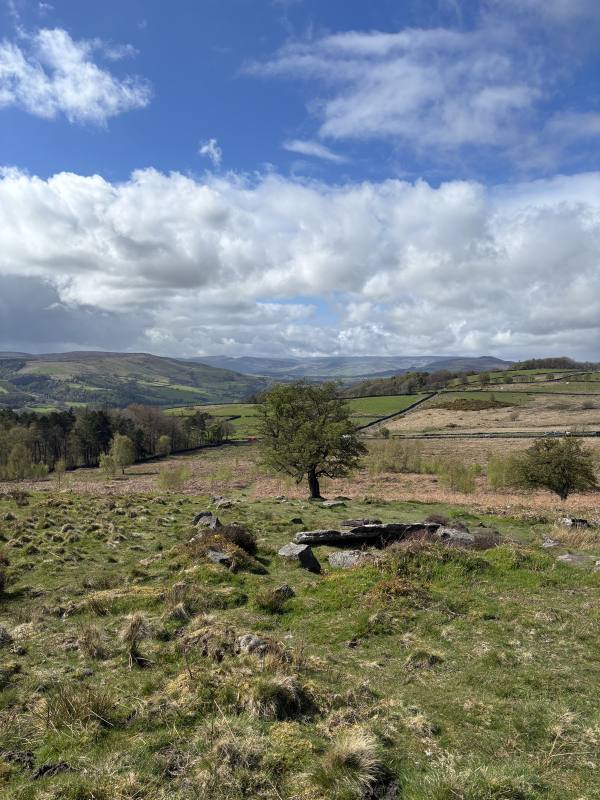 Calver Sough, 8 miles, 10.6km into the route