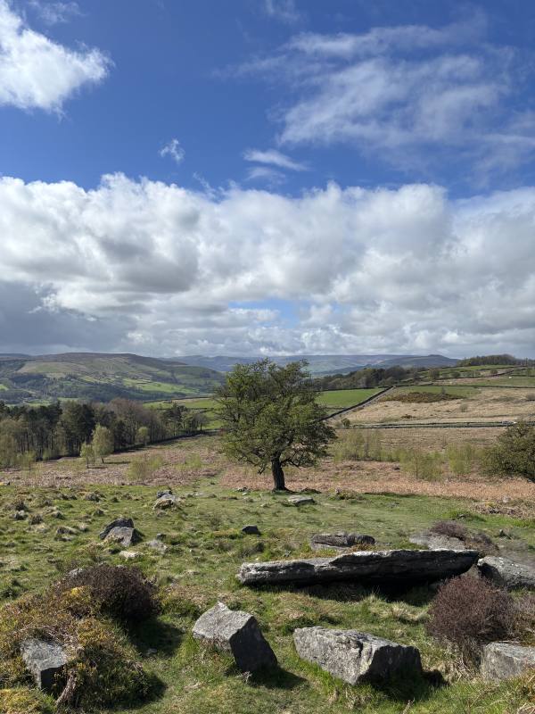 Calver Sough, 8 miles, 10.6km into the route