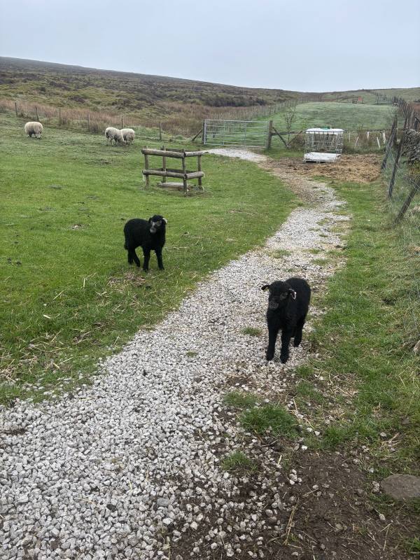 High Peak, 10.2 miles, 1.4km into the route