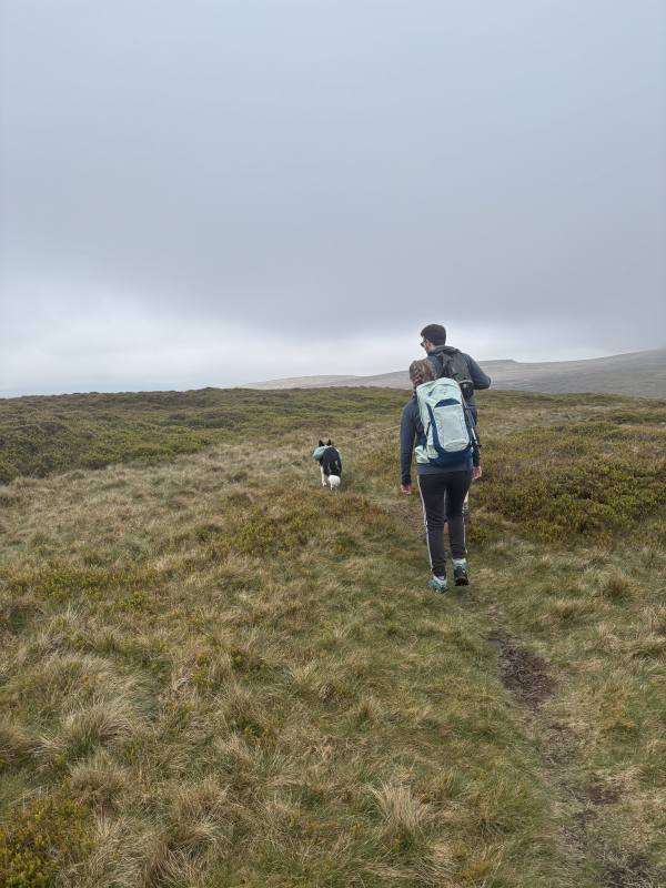 Walking High Peak, 10.2 miles, 3.3km into the route