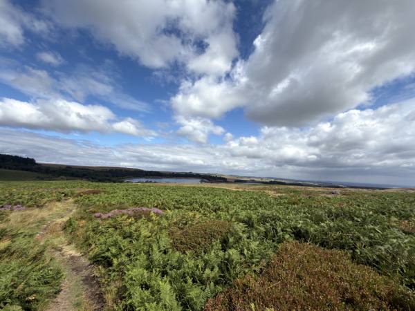 Redmires Reservoir Circular, 1.3km into the route