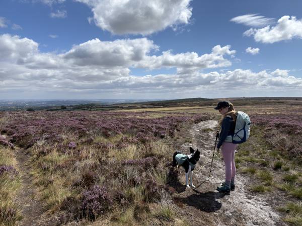 Walking Redmires Reservoir Circular, 5.7km into the route