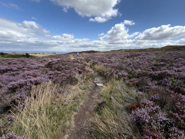 Redmires Reservoir Circular, 6.3km into the route