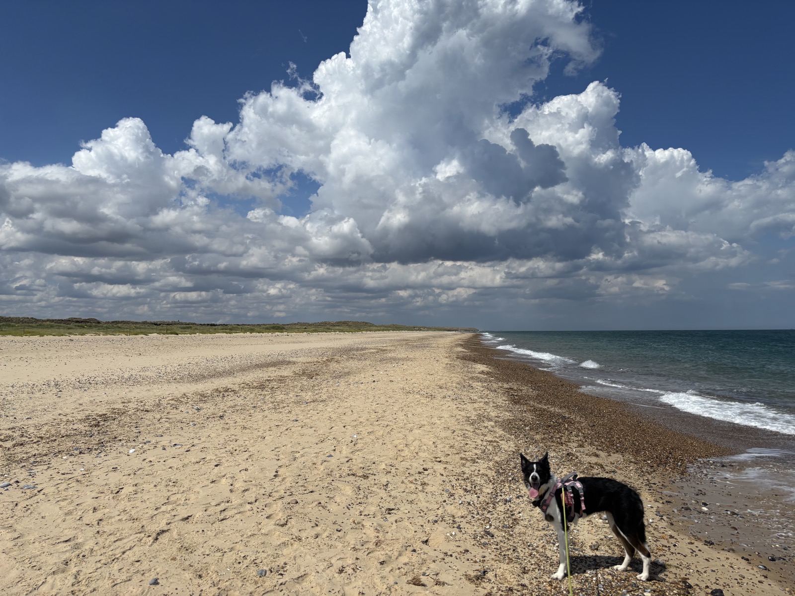 Winterton-on-Sea, 7.9 miles