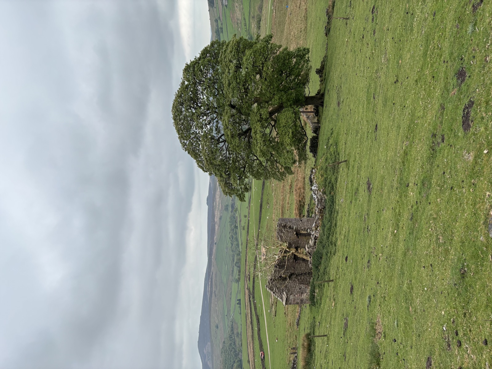 High Peak, 10.2 miles